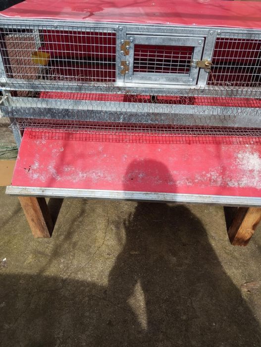 Клетка за патпъдъци