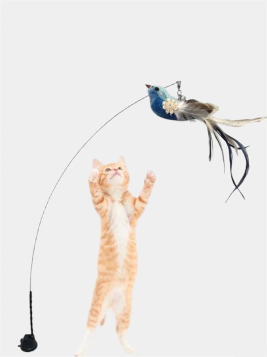 Royal Canin для вашего питомца