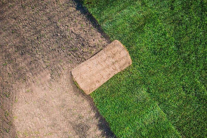 Тайор газон рулонный (установка поливочного системы)