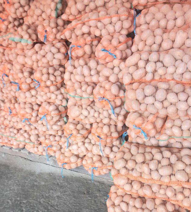 Cartofi consum carera