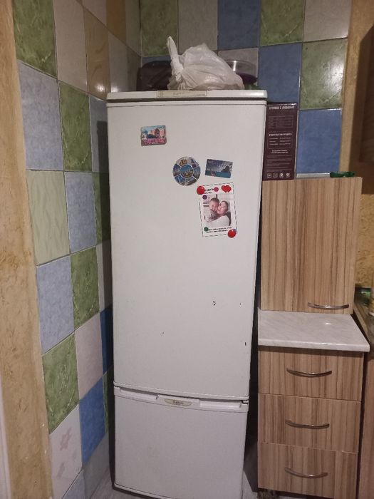 Холоделник брюса