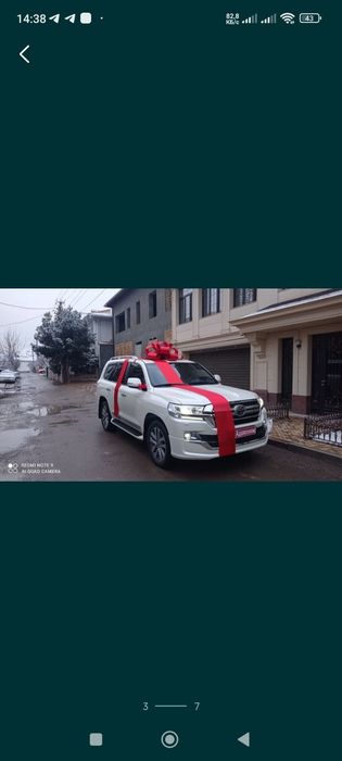 Bantik, Avtobantik lenta,бант лента Автобантик для машины