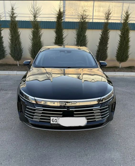 Byd Chazor 2-pozitsiya 2024 qora SROCHNA SOTILADI!!