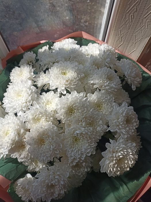 12мын саудасымен