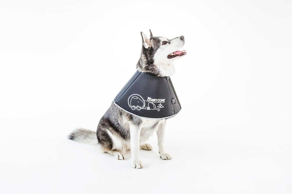 Guler de recuperare pentru câini și pisici , 25cm