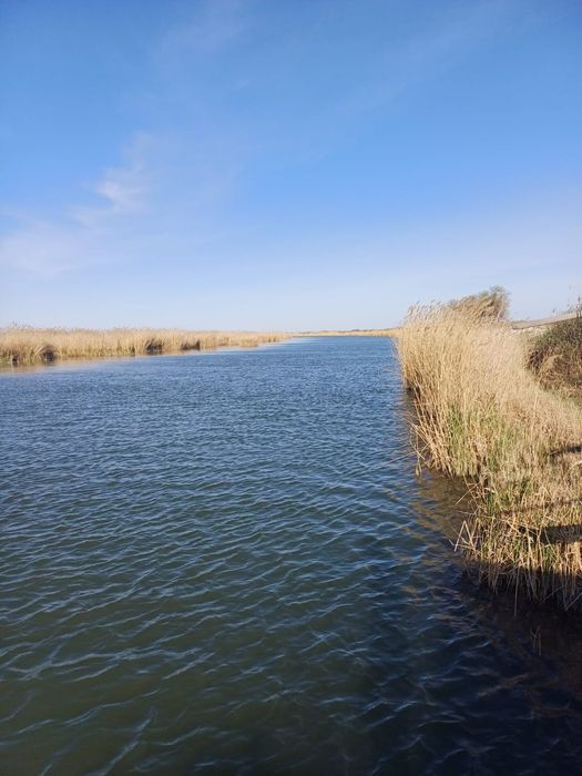 Продаётся рыбаловно охотничия база.