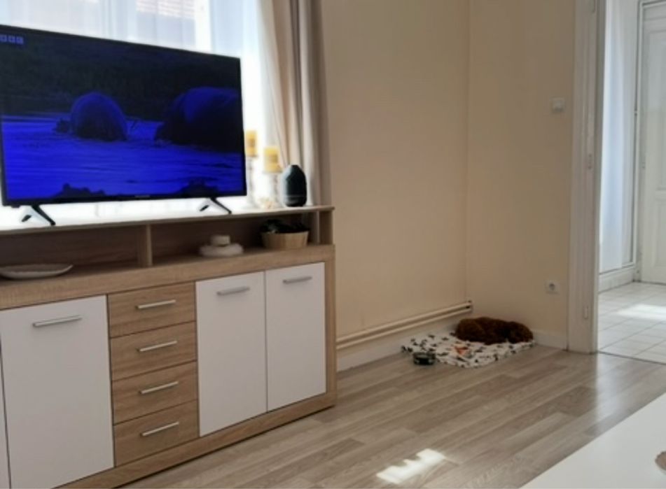 Televizor Wellington 43” – funcțional