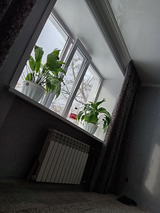 Продам 2 совмещённые комнаты 43 кв м