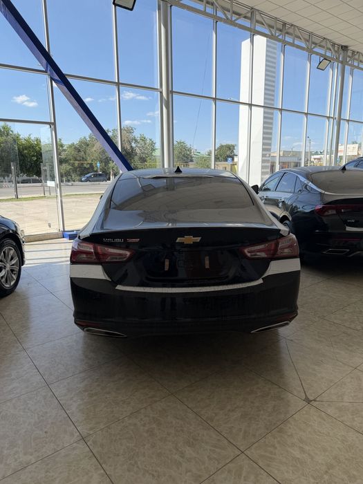 Malibu premer2023