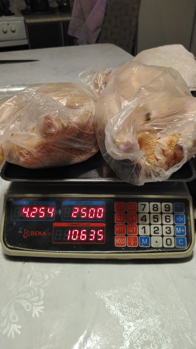 Продам кур домашние