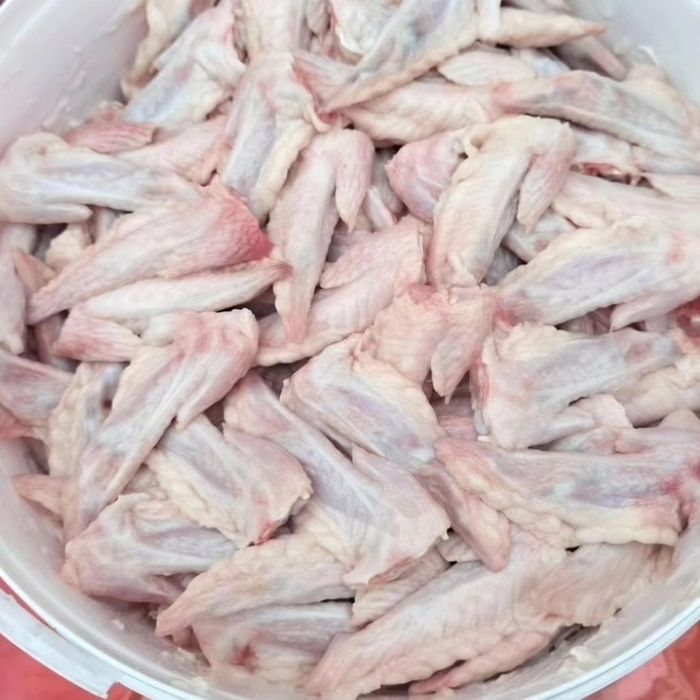 Корма  для собак и кошек