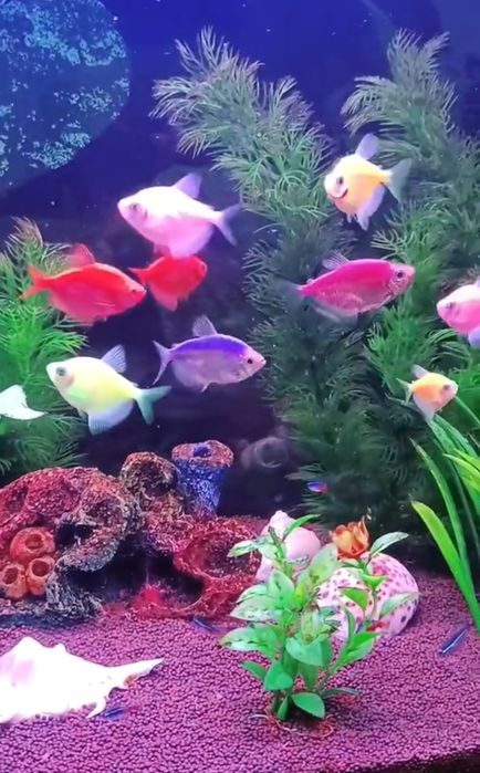 Аквариум 70 литров состояние отличное