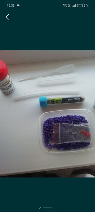 Продам формикарий для муравьев