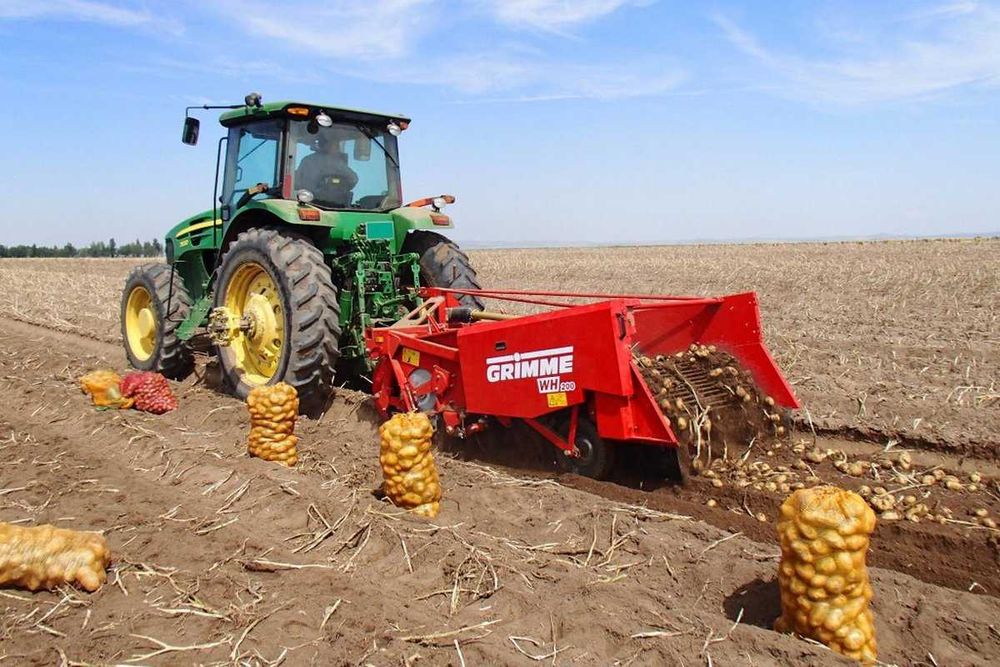 Ботвоудалитель для лука GRIMME / ПИЁЗ ТЕХНИКАСИ (Made in Germany)