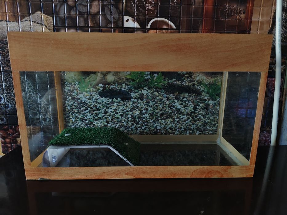 Аквариум 7-8 литров