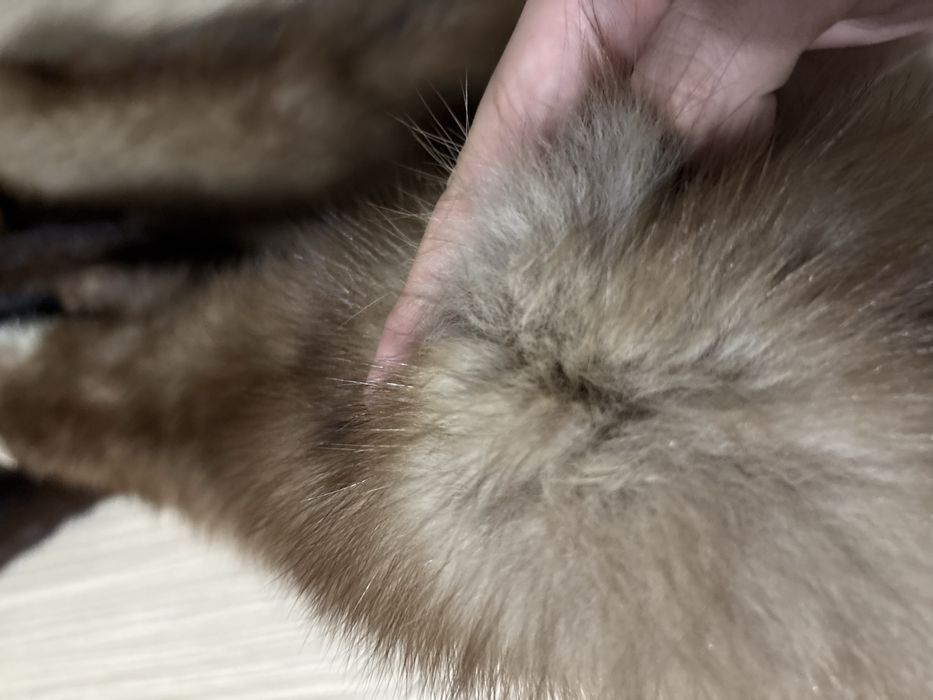 Stola/guler blana naturala de jder 2 piese