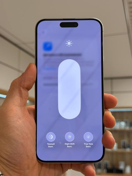 iPhone 15 Pro Max | 256 GB