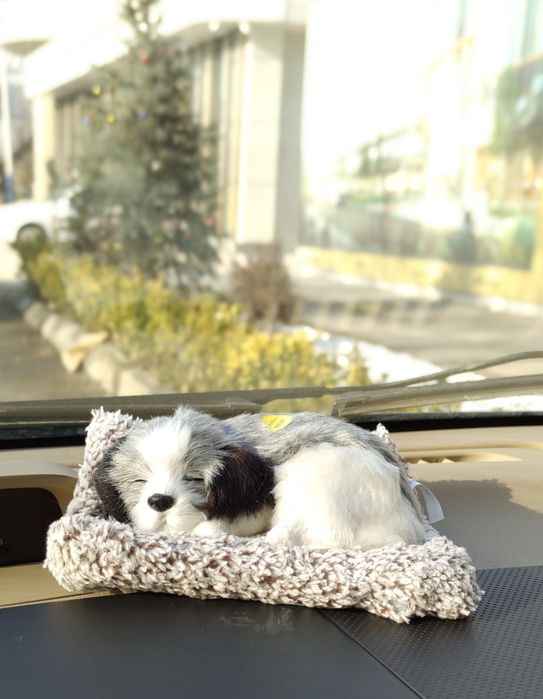 Милые щенки  как декор в авто подарок