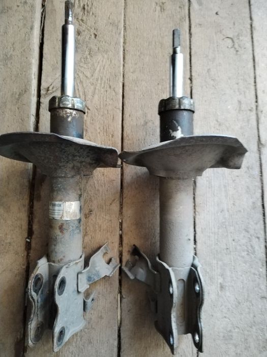 Стоики от калины  10 тыс . Переднии