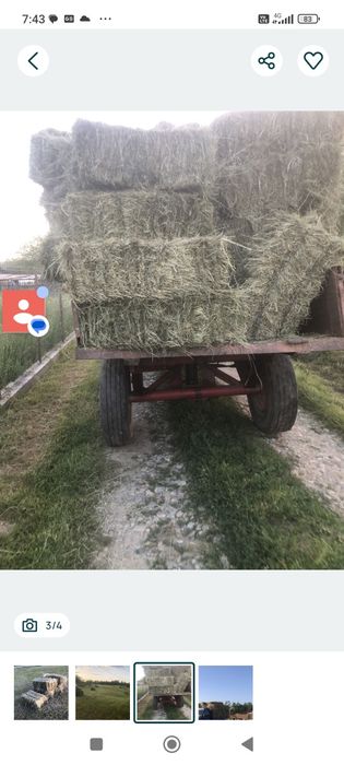 Vând baloți de fan , ținuți la adăpost ,uscați