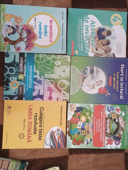 Set Evaluare Națională clasa a IV a