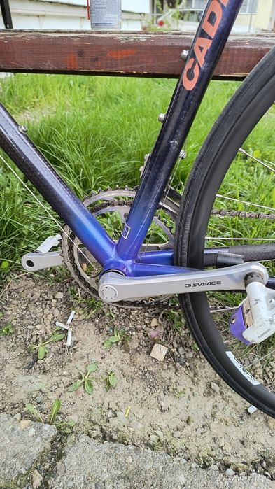 Cursiera Giant carbon