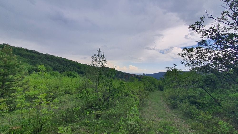 Продава се Парцел в с. Храбрино, Област Пловдив - 3677 кв.м за 5 €/кв.м - Снимка #2