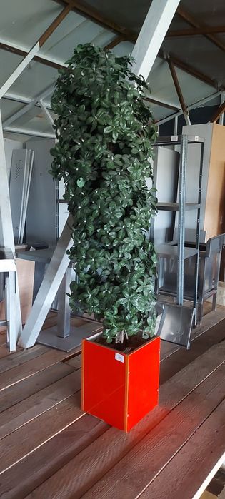 Искусственные деревья, декоративные деревья