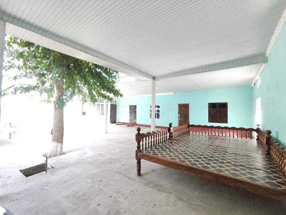 Zamonaviy kotej sotiladi