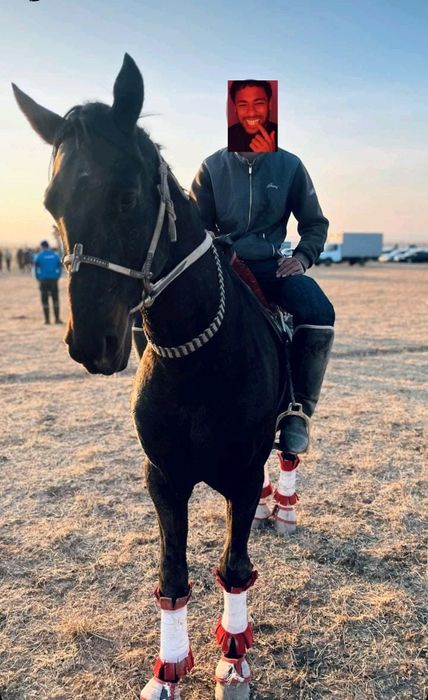 Көкпар айғыры алдынғы ат