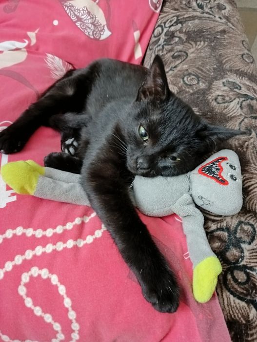 Малышка  ищет свой дом