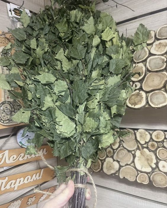 Продам Веник березовый