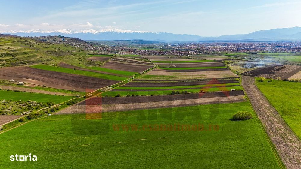 Teren 3000 MP | Gusterita - Viile Sibiului| Vedere Deosebita |SkyVideo
