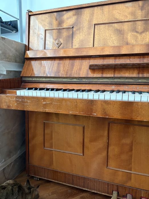 Фортепиано Беларусь