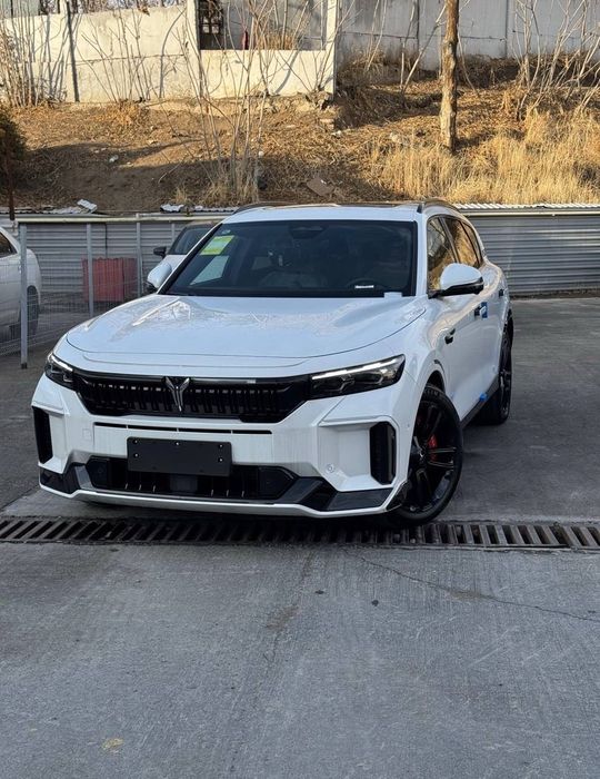 Voyah free oppola tech 318