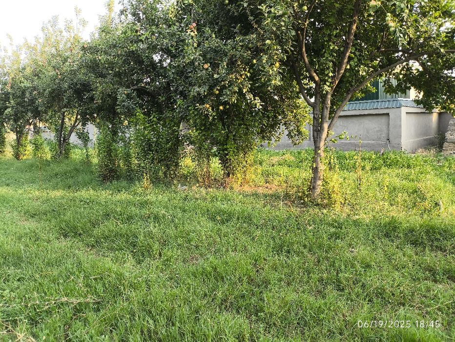 20 sotix yer bandixon , birdamlik mahallasida