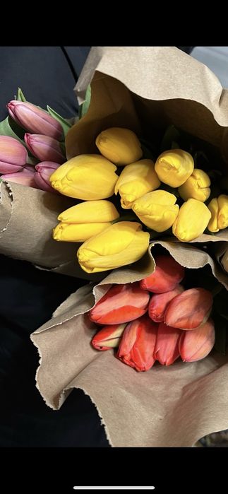 Тюльпаны ! 8 марта !