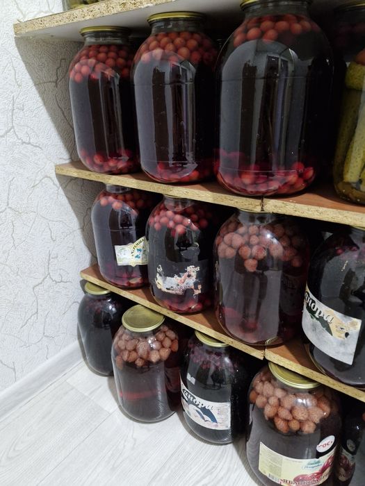 Продам компот 2024 года свежий