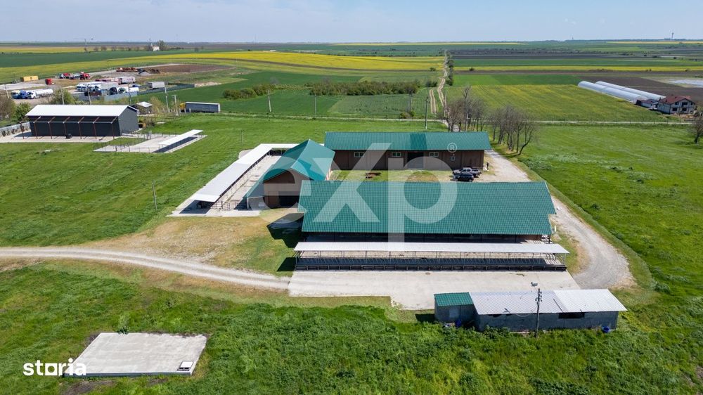 Black Angus Farm with authorized Slaughterhouse