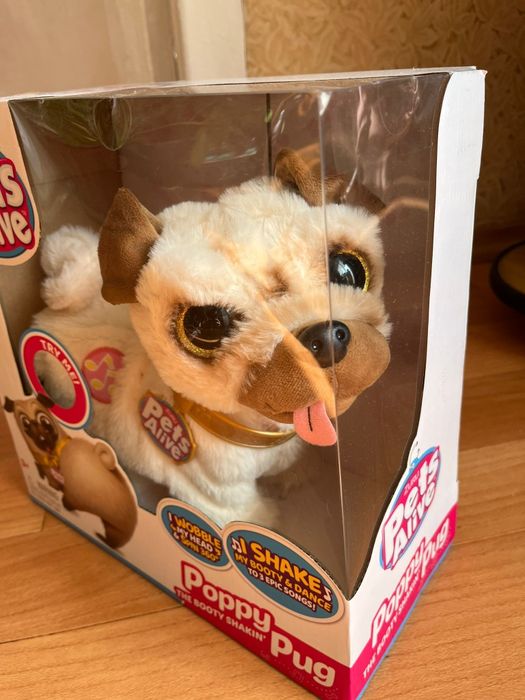 Музыкальная собачка