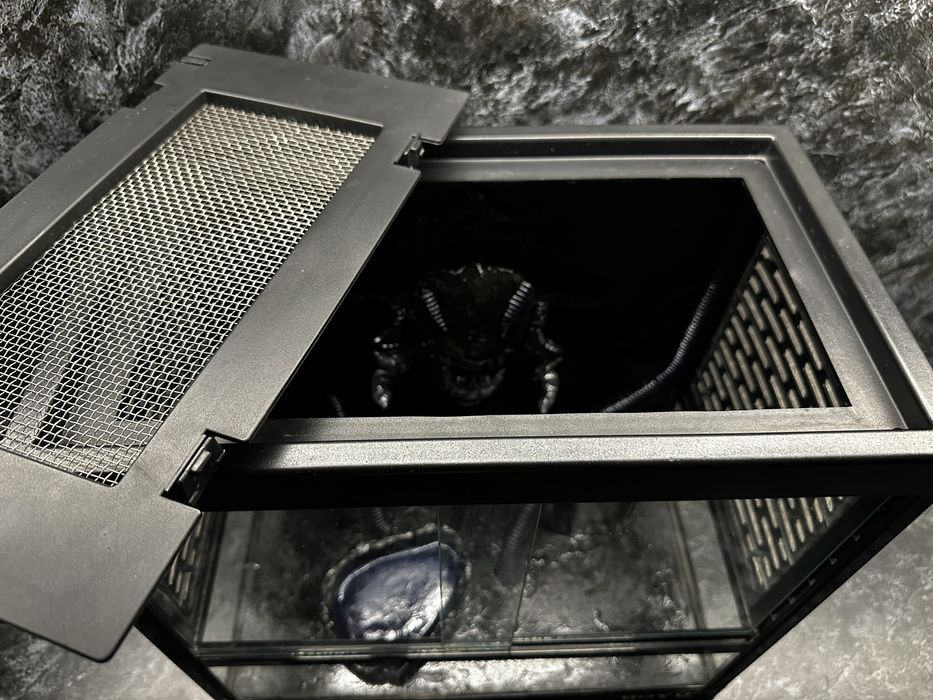 Террариум дизайнерский