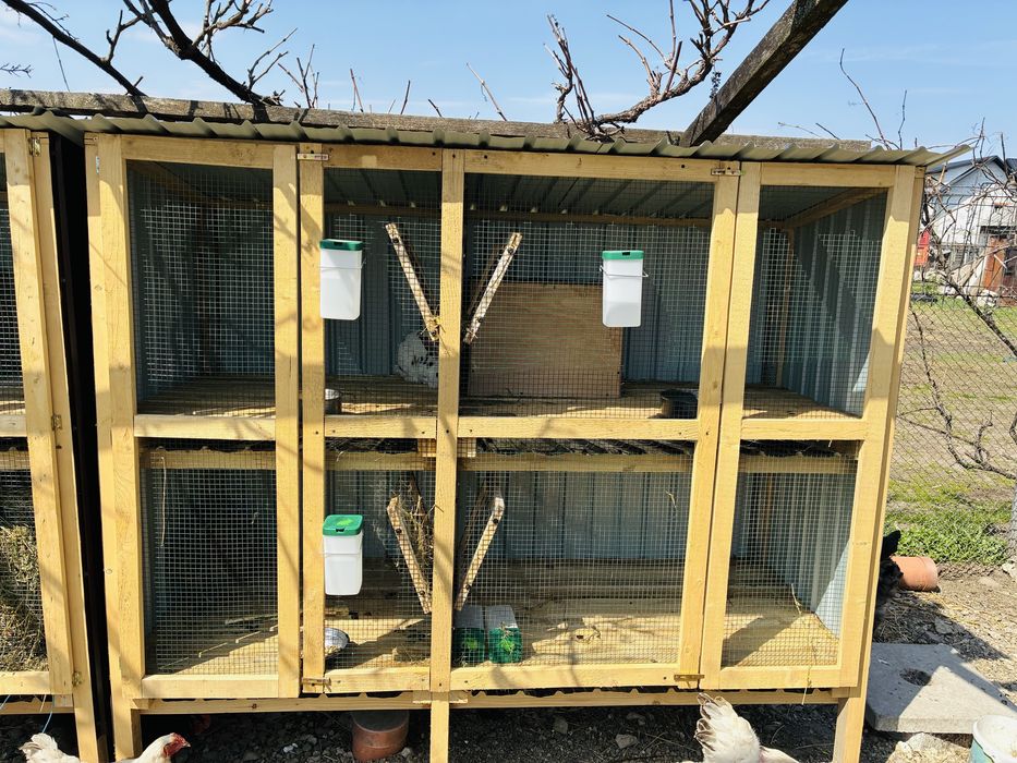 Cuști iepuri 8 boxe