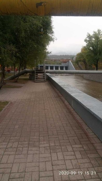 Однушка на Аль-фараби. Сдам