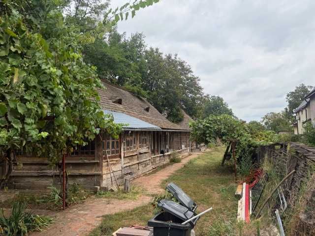 Casă cu curte generoasă (3.000 mp) — Ciorogârla, Ilfov