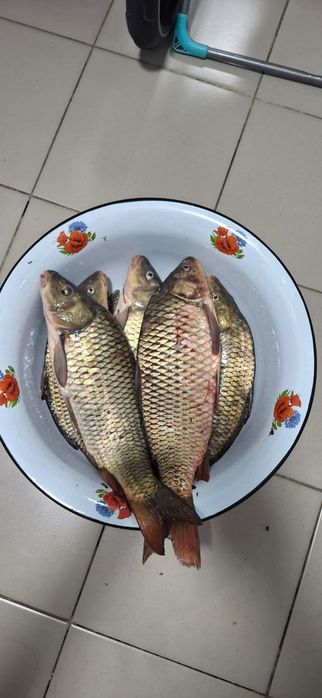 Свежая рыба, Копчёная рыба