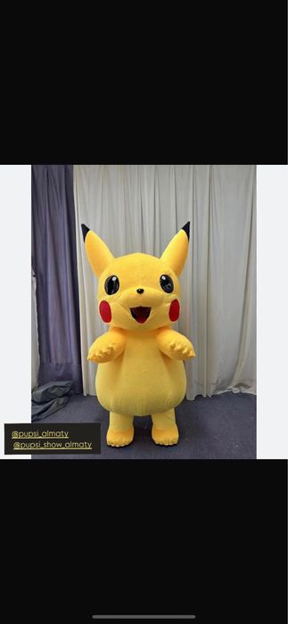 Выписка из родома скидка