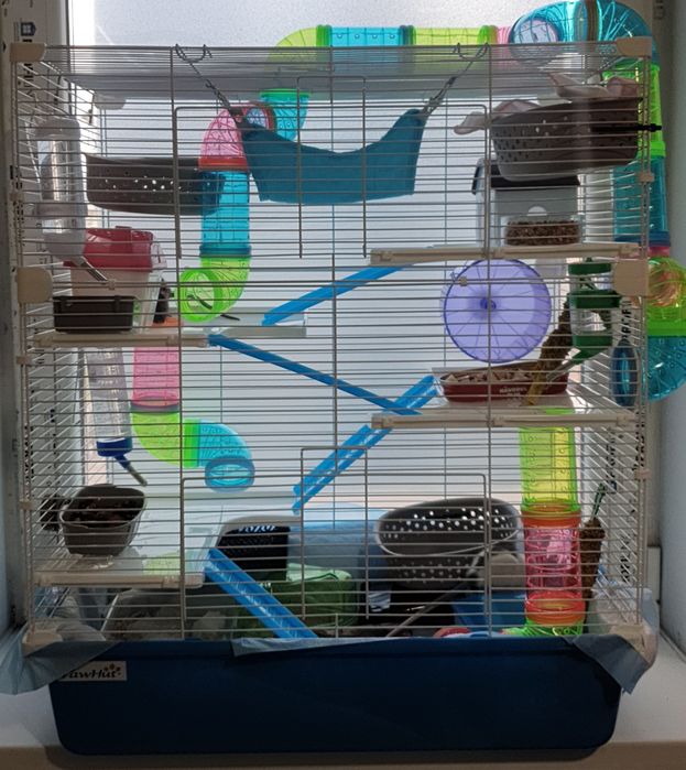 Cușcă cu șobolani de companie