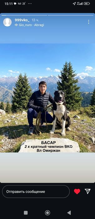 На продаже Тобеты