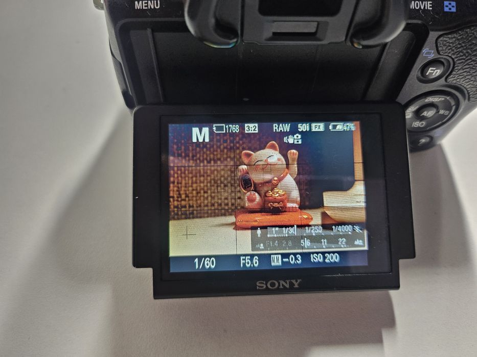 Sony A 37 тушка + обьектив