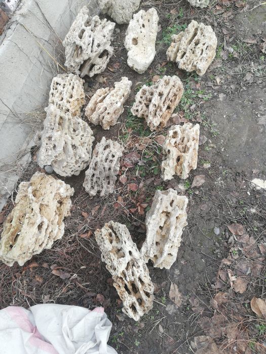 кораллы, песчаник в аквариум